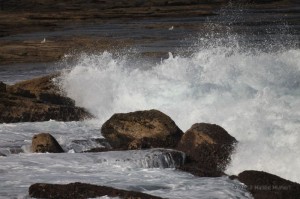 Onde sugli scogli, Cogee Beach