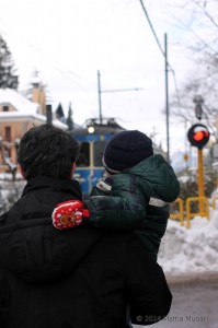 Treno Vigezzine