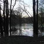 Alberi sott'acqua al parco Lambro