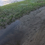 Il Lambro è passato sulla strada