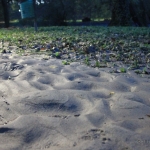 Tracce del passaggio del fiume sulla strada