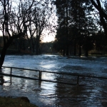 Il Lambro invade il parco