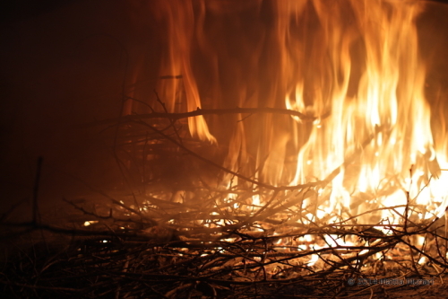 Fuoco nel forno a legna