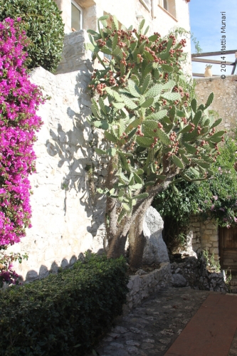 Èze, borgo mediterraneo