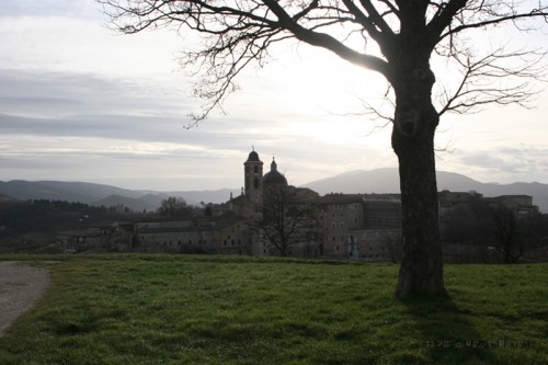 Urbino dalla fortezza Albornoz